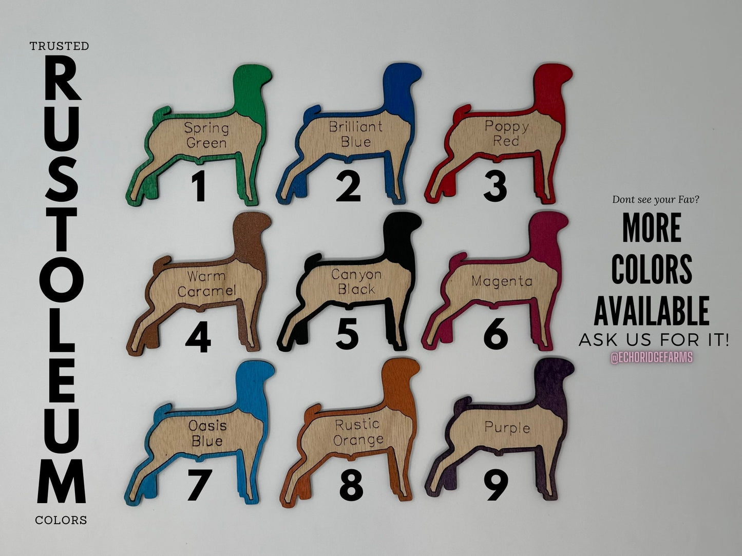 Custom Wooden Small Animal Cage Tag – Personalized Rabbit, Guinea Pig, Chicken, Duck, Poultry & Rat Show Nameplate