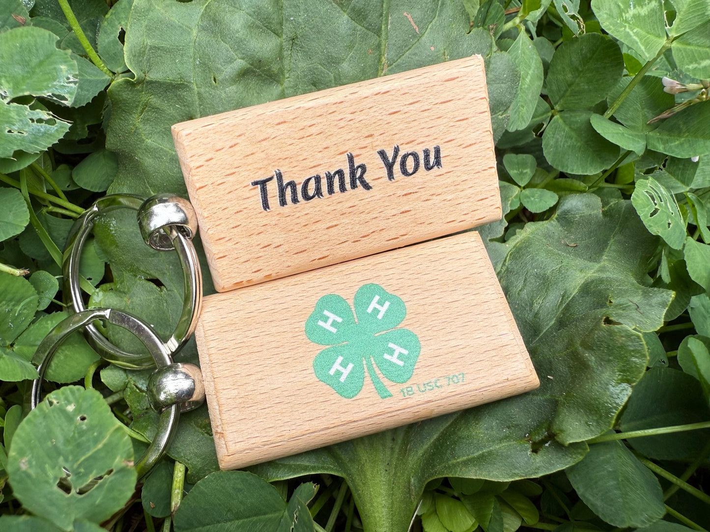 4H Buyers gift for saying thank you to the buyer or sponsor in a buyer basket livestock show market animal like steer, hog, goat lamb rabbit