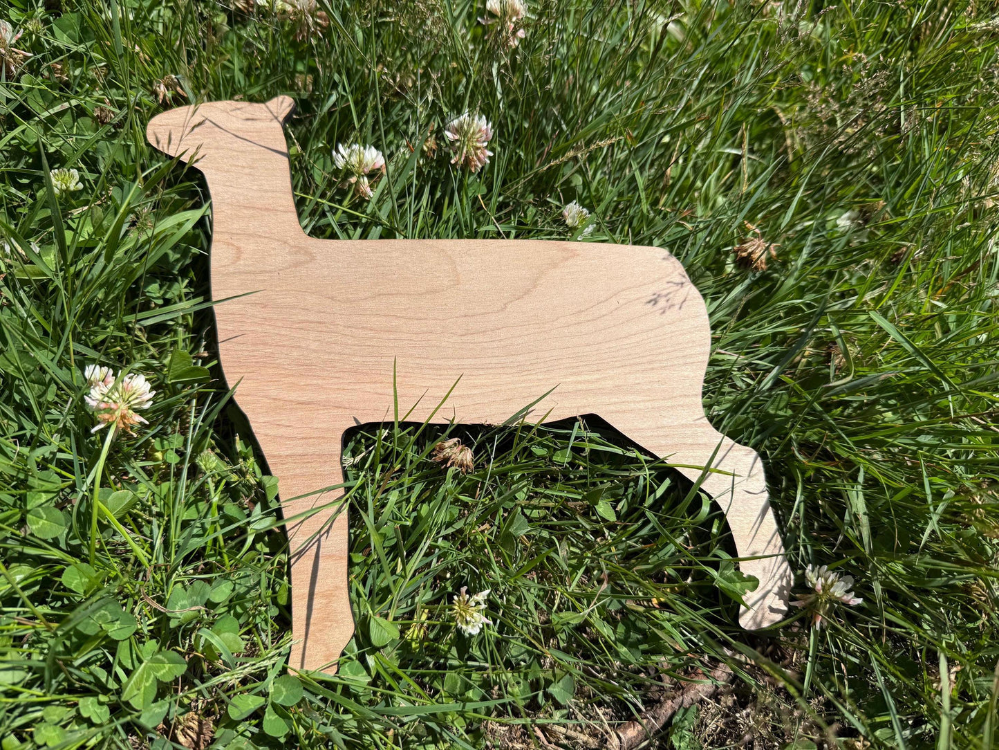 Lamb cutout for signs at fair show, blank lamb for custom sign decorations, market lamb stall sign