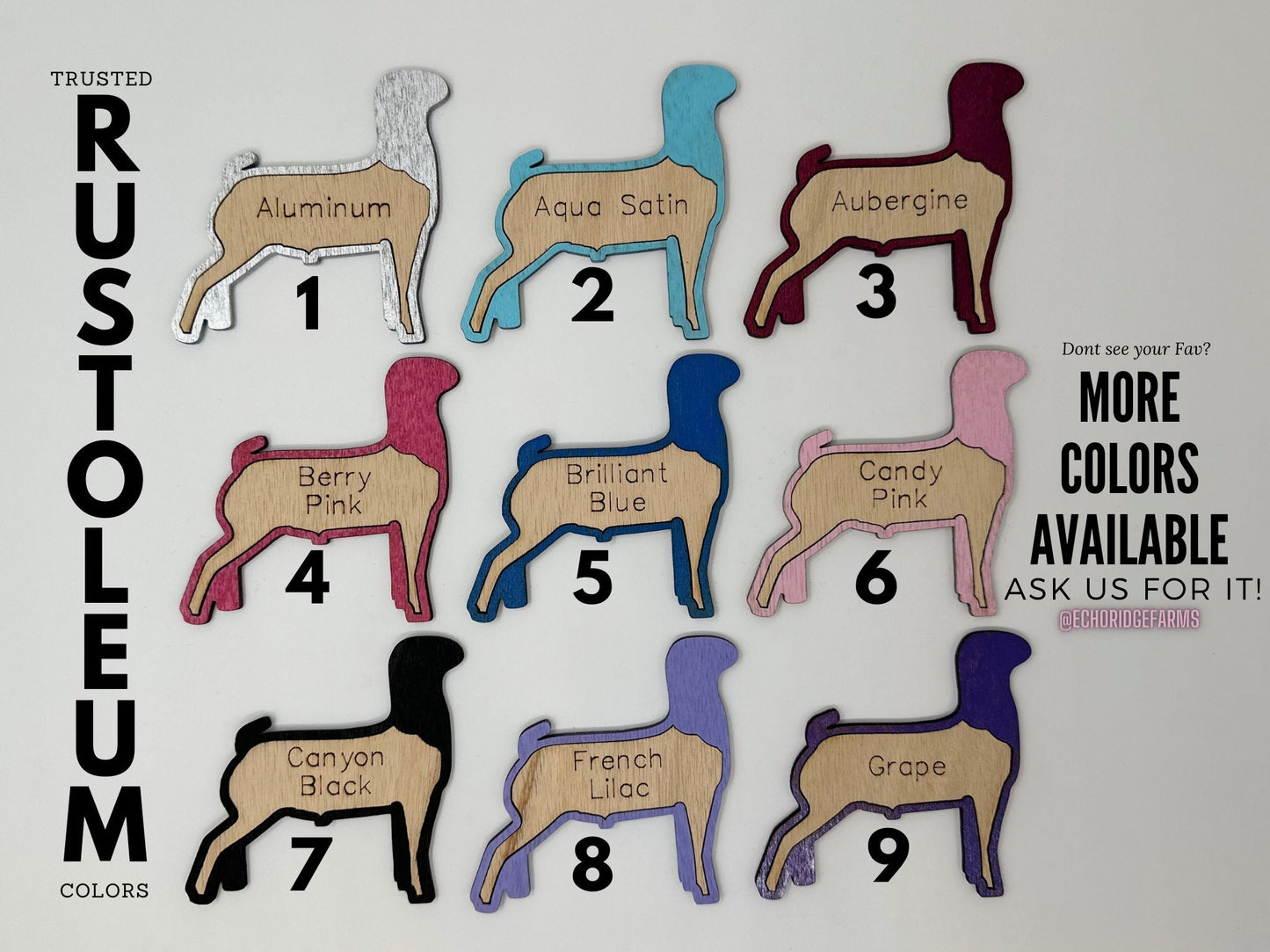 Pig Hog Stall tag or name plate label for fairs and livestock shows