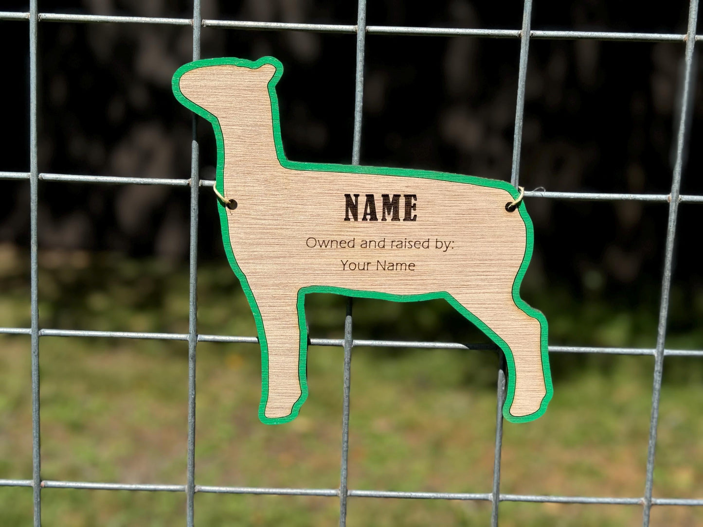 Lamb Stall tag or name plate label for fairs and livestock shows