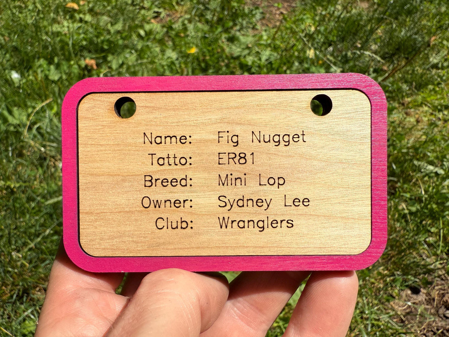 Custom Wooden Small Animal Cage Tag – Personalized Rabbit, Guinea Pig, Chicken, Duck, Poultry & Rat Show Nameplate