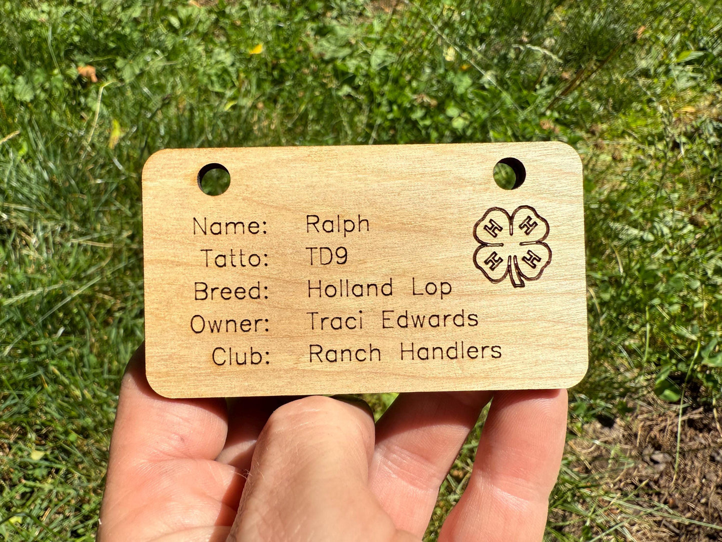 Custom Wooden Small Animal Cage Tag – Personalized Rabbit, Guinea Pig, Chicken, Duck, Poultry & Rat Show Nameplate