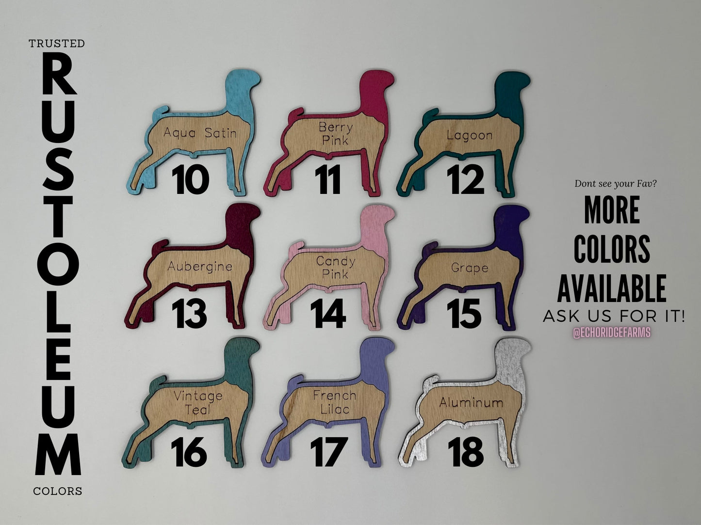 Custom Wooden Small Animal Cage Tag – Personalized Rabbit, Guinea Pig, Chicken, Duck, Poultry & Rat Show Nameplate