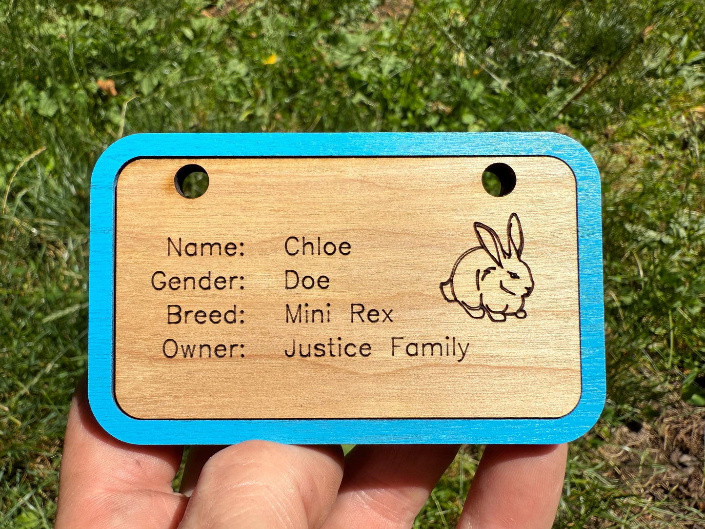 Custom Wooden Small Animal Cage Tag – Personalized Rabbit, Guinea Pig, Chicken, Duck, Poultry & Rat Show Nameplate