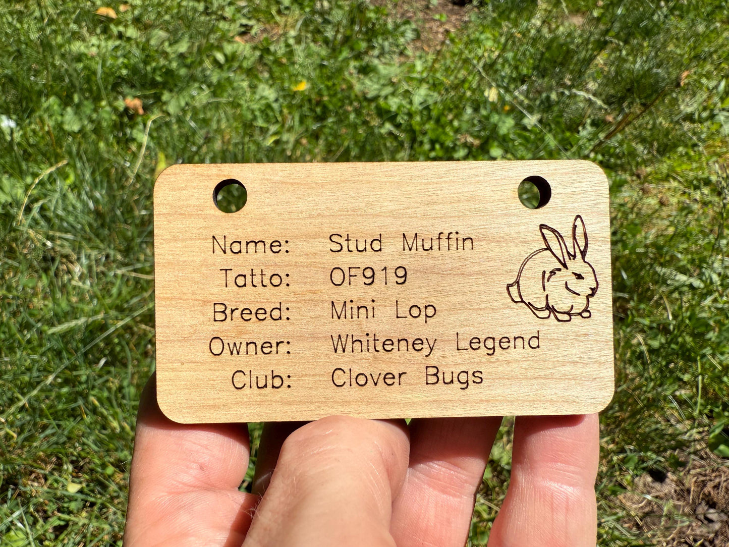 Custom Wooden Small Animal Cage Tag – Personalized Rabbit, Guinea Pig, Chicken, Duck, Poultry & Rat Show Nameplate