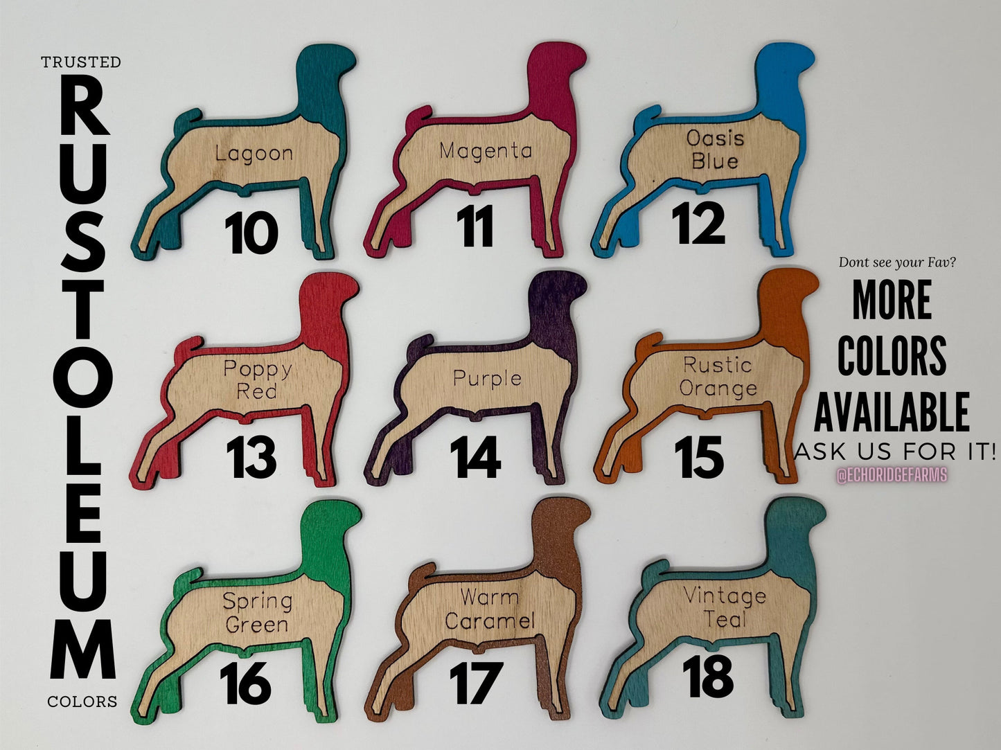 Pig Hog Stall tag or name plate label for fairs and livestock shows