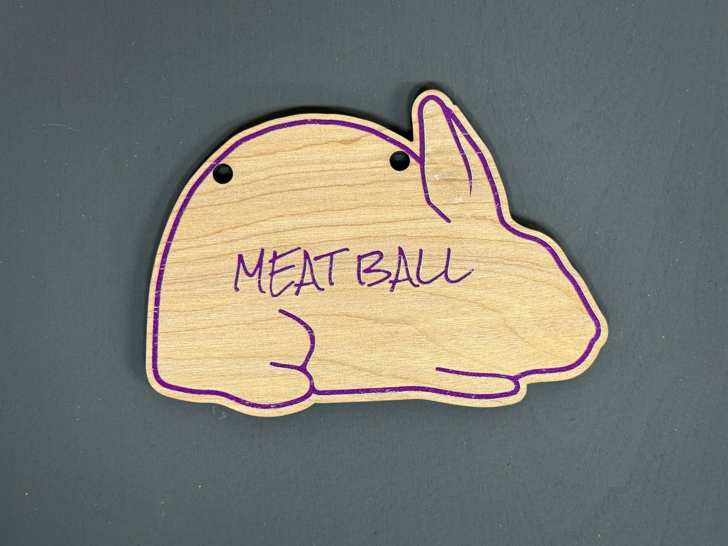 Rabbit Cage sign made from Wood Customizable