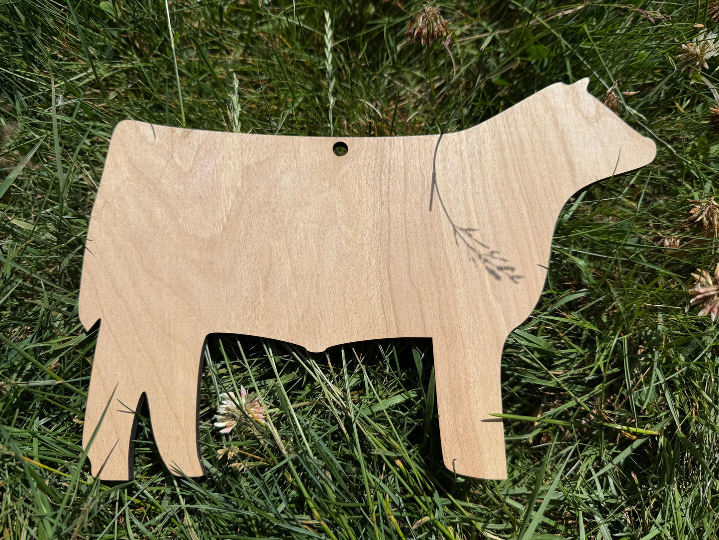Steer cutout for signs at fair show, blank steer for custom sign decorations, cattle, market steer stall sign