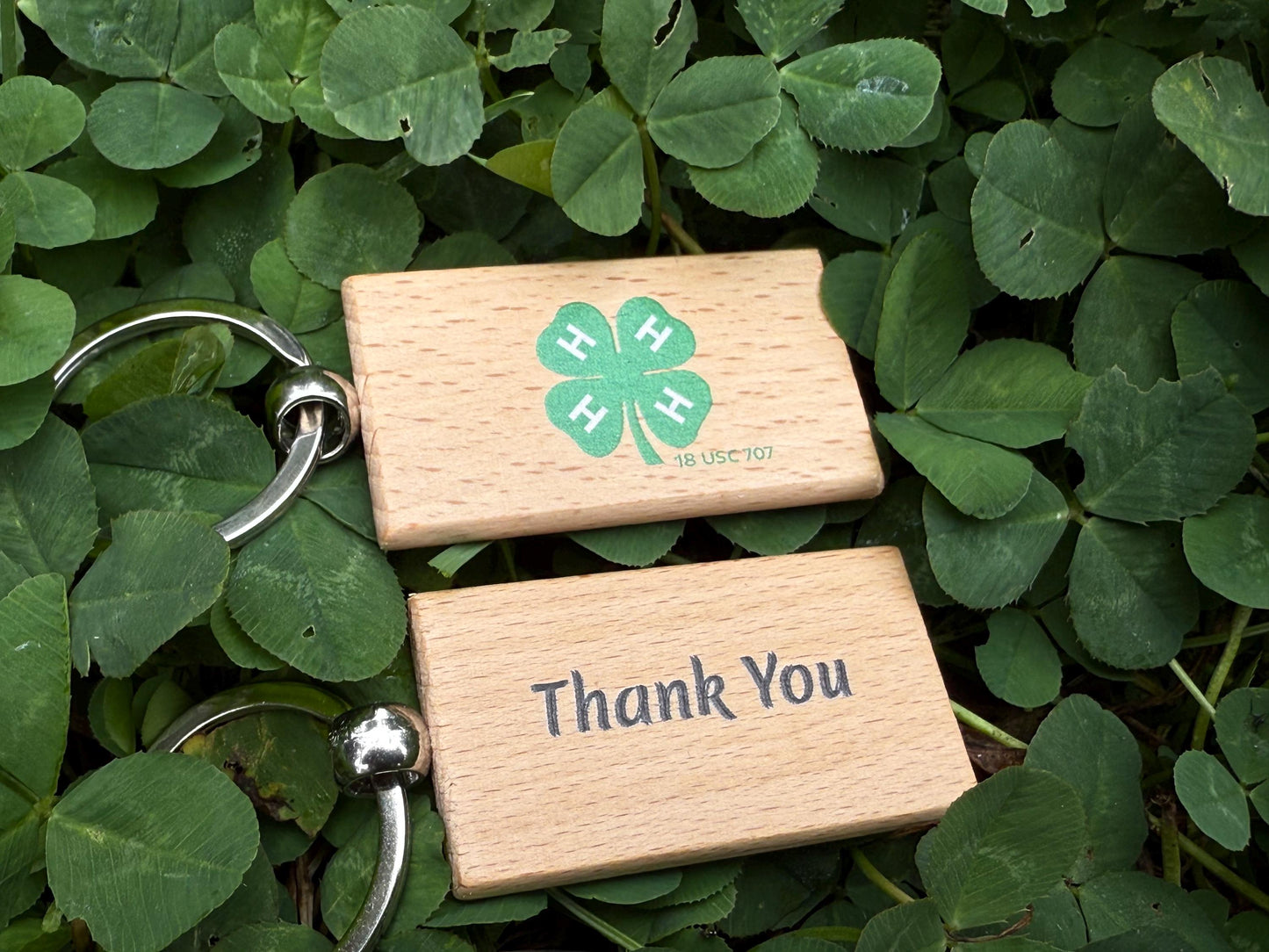 4H Buyers gift for saying thank you to the buyer or sponsor in a buyer basket livestock show market animal like steer, hog, goat lamb rabbit