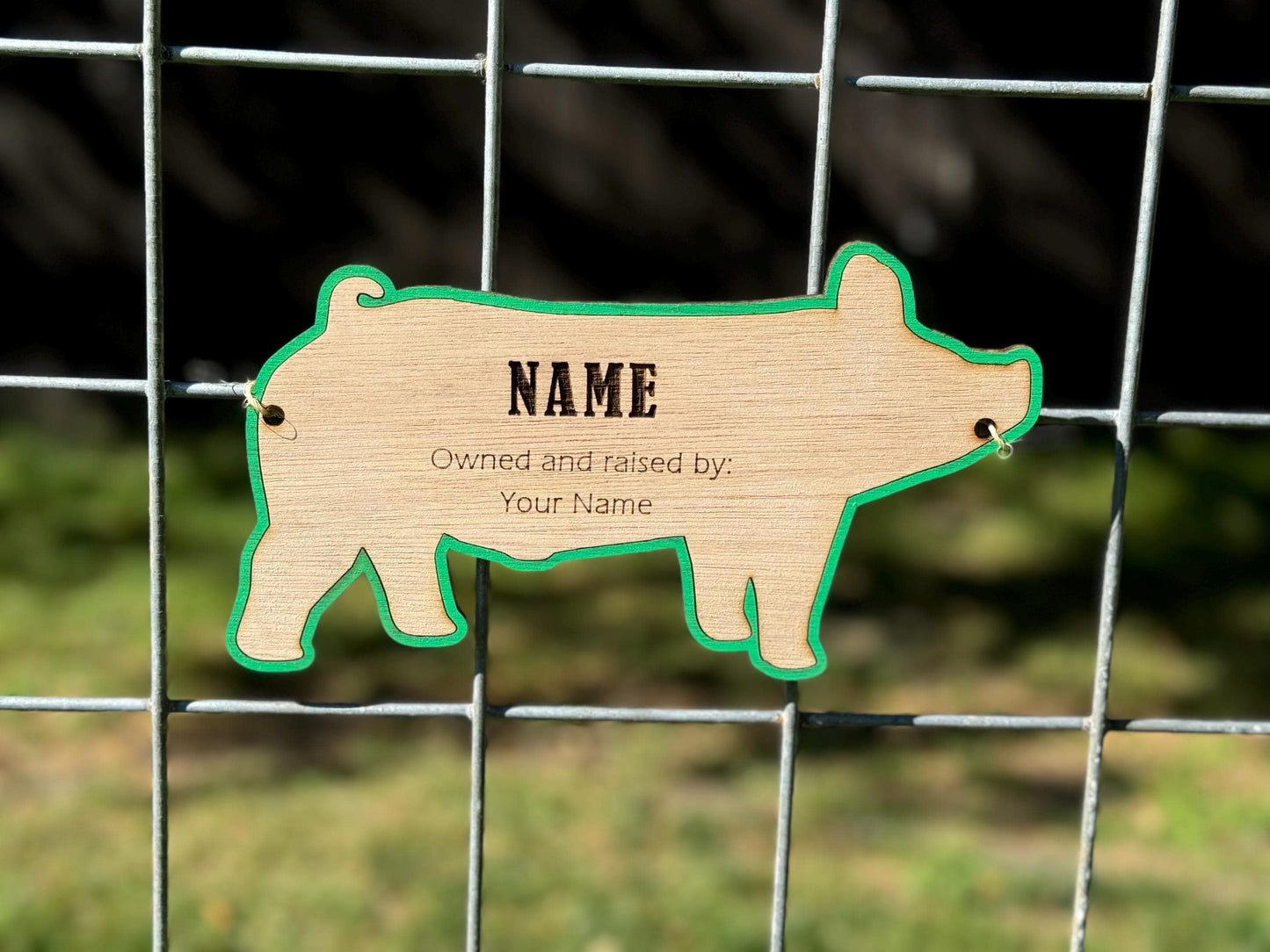 Pig Hog Stall tag or name plate label for fairs and livestock shows