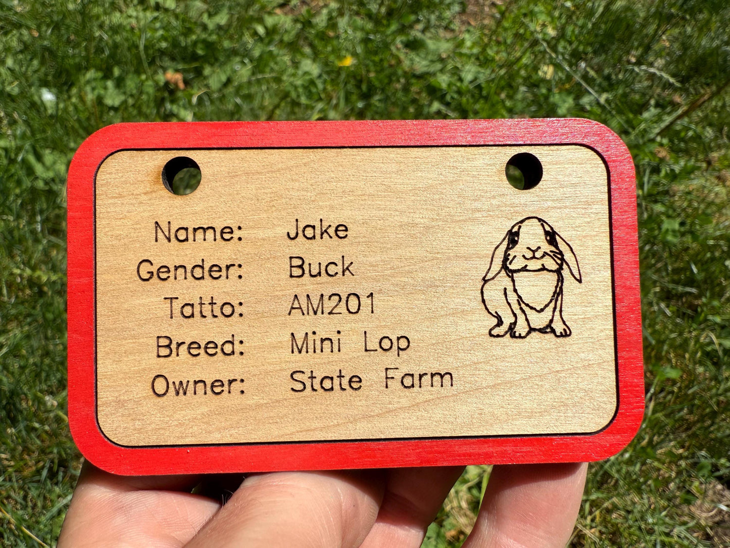 Custom Wooden Small Animal Cage Tag – Personalized Rabbit, Guinea Pig, Chicken, Duck, Poultry & Rat Show Nameplate