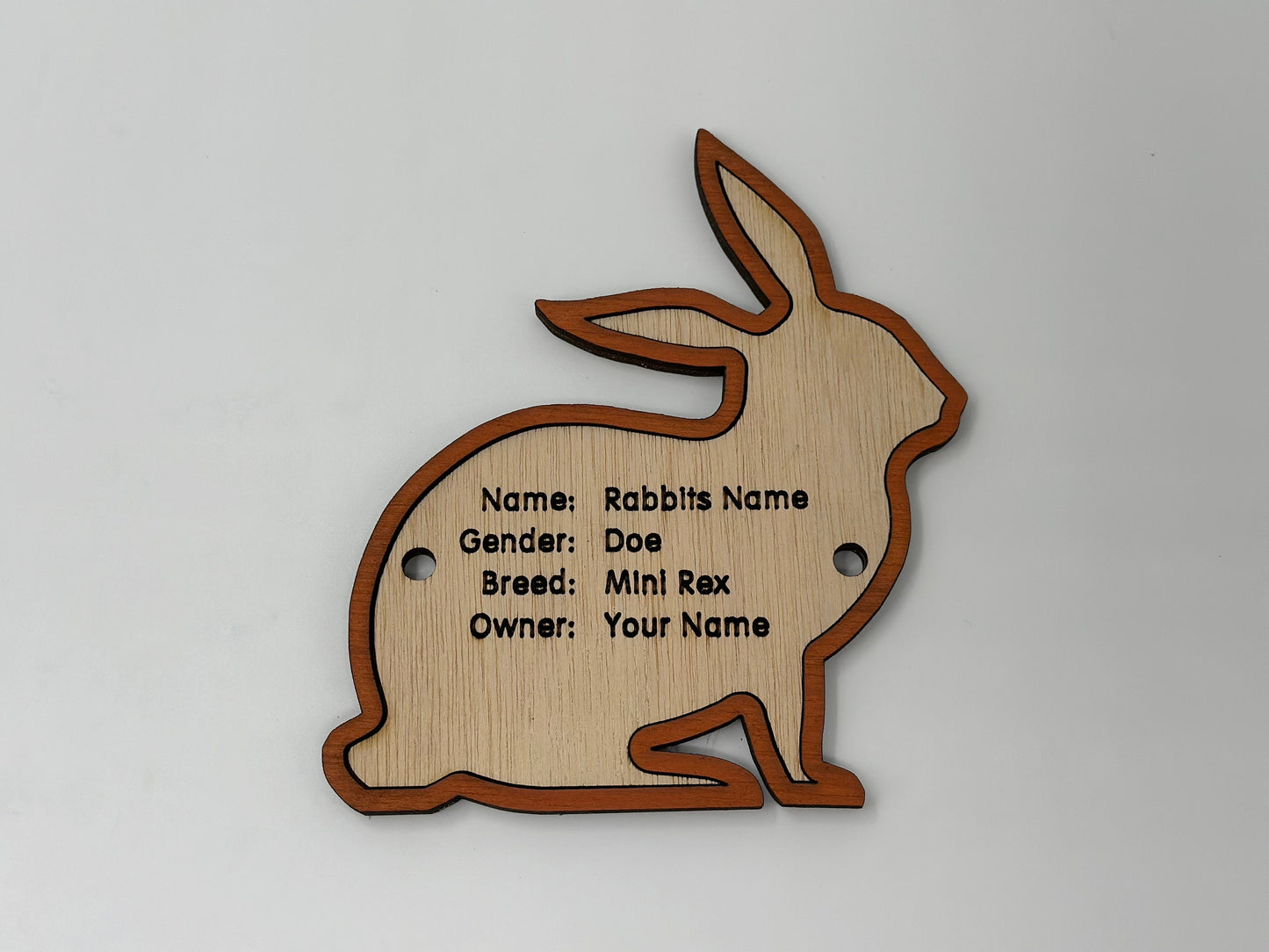 5" Rabbit cage tag pen stall name plate label for livestock shows bunny hutch