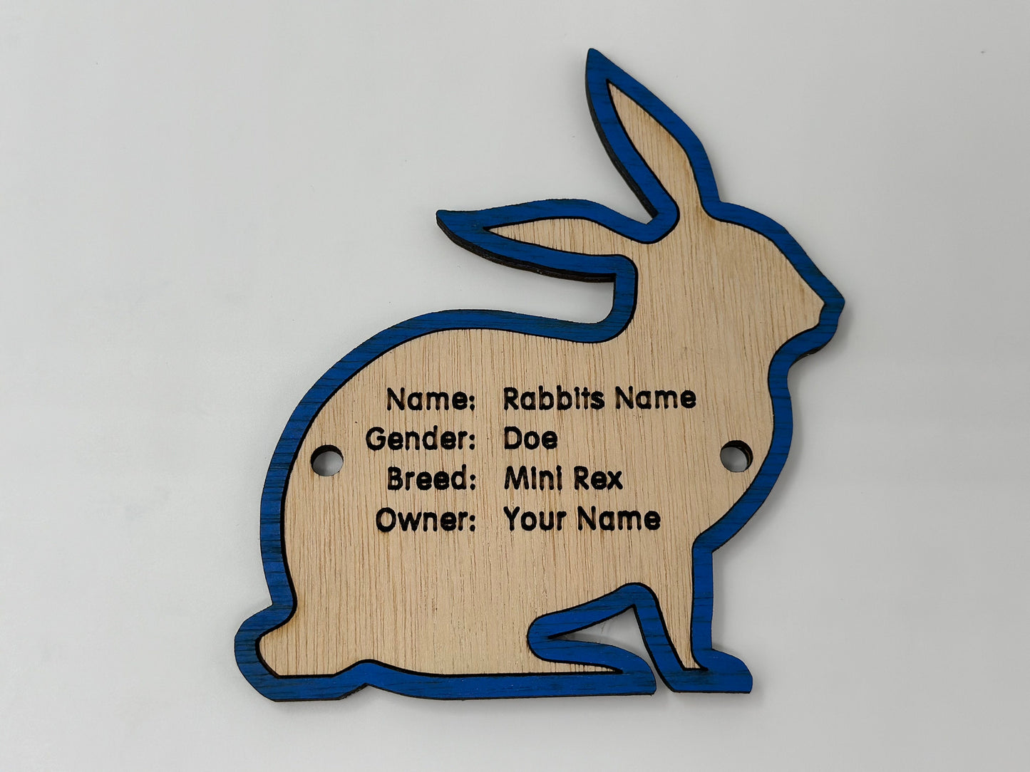 5" Rabbit cage tag pen stall name plate label for livestock shows bunny hutch