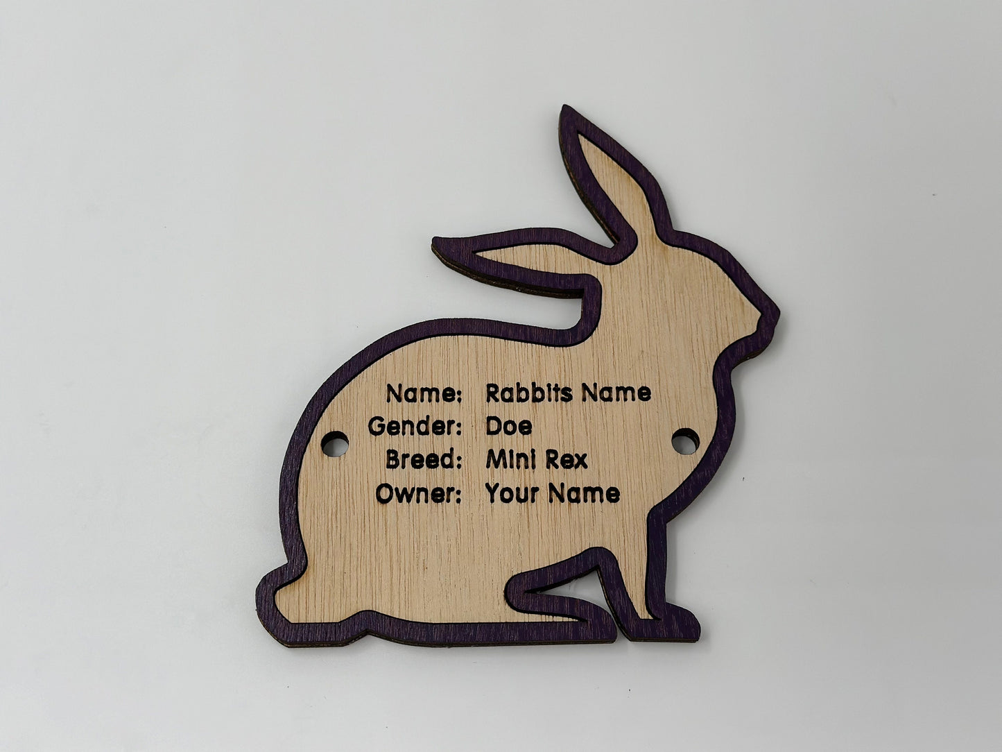 5" Rabbit cage tag pen stall name plate label for livestock shows bunny hutch