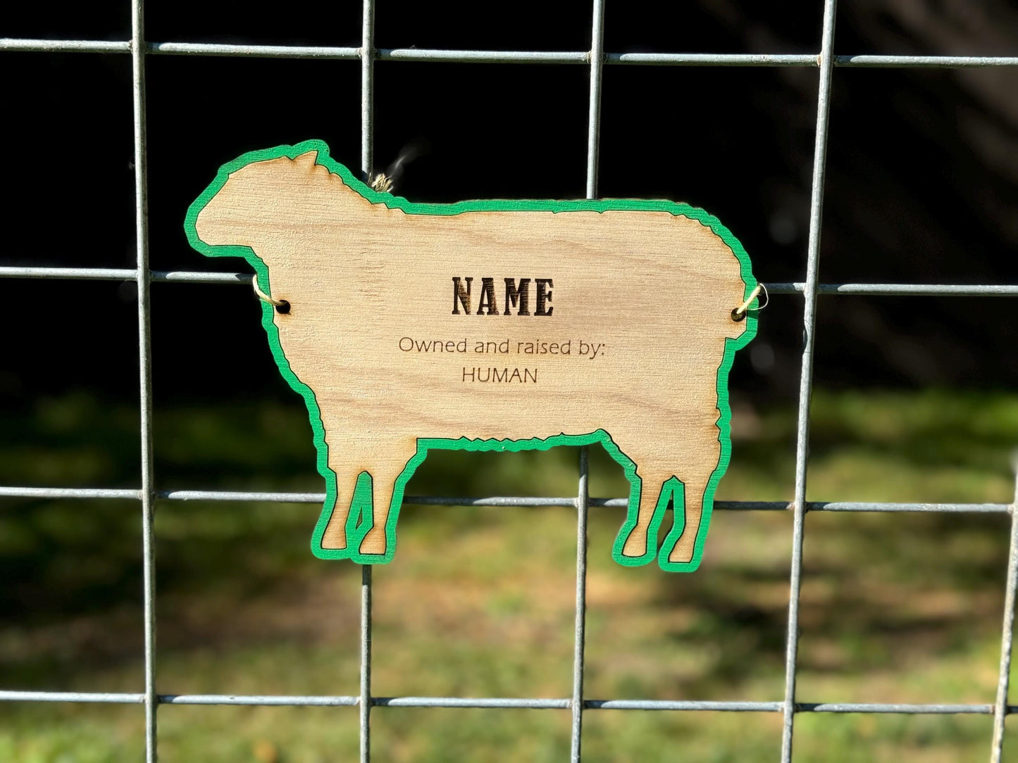 Customizable Sheep Lamb Stall tag or name plate label for fairs and livestock shows