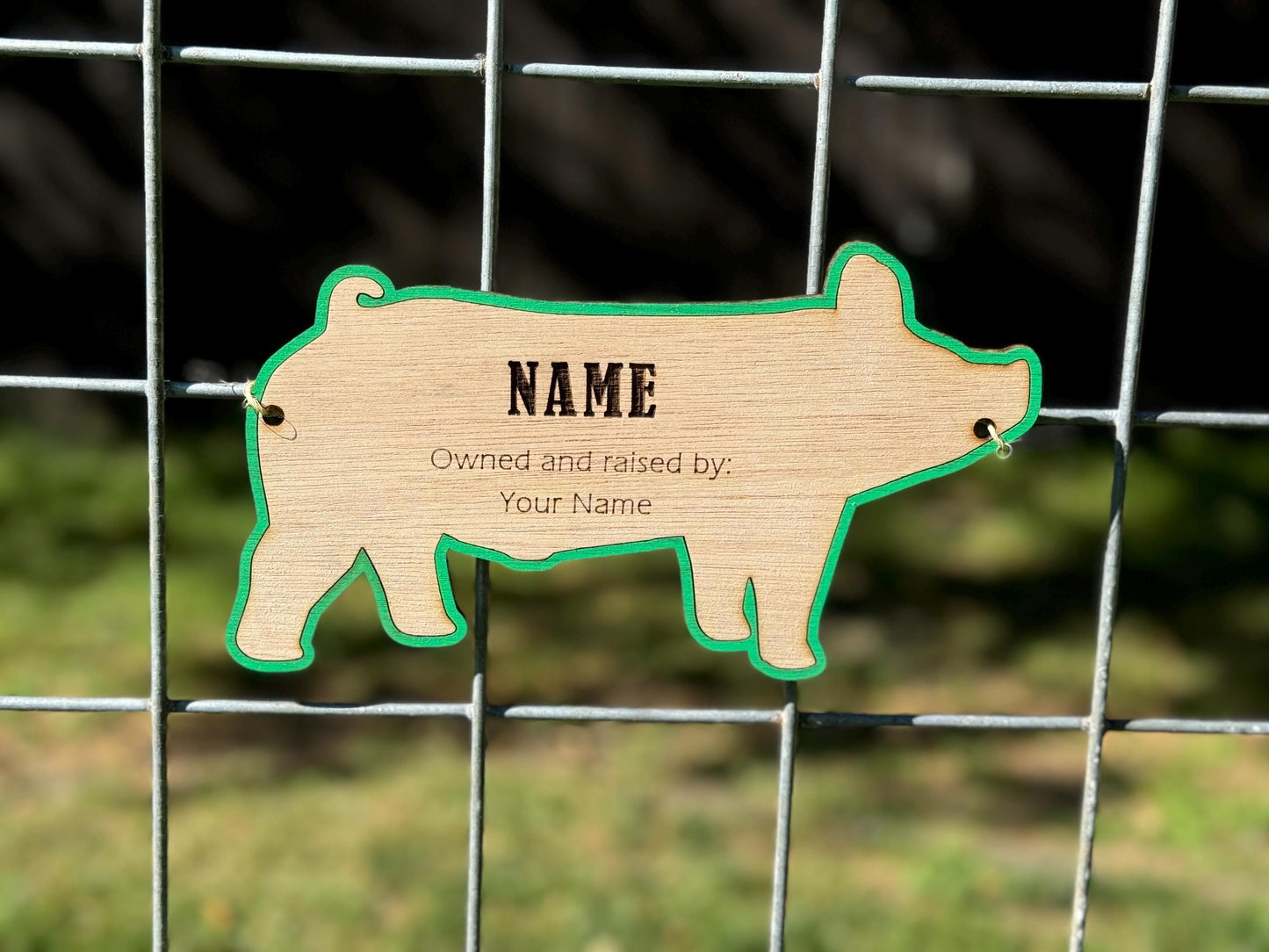 Customizable Pig Hog Stall tag or name plate label for fairs and livestock shows