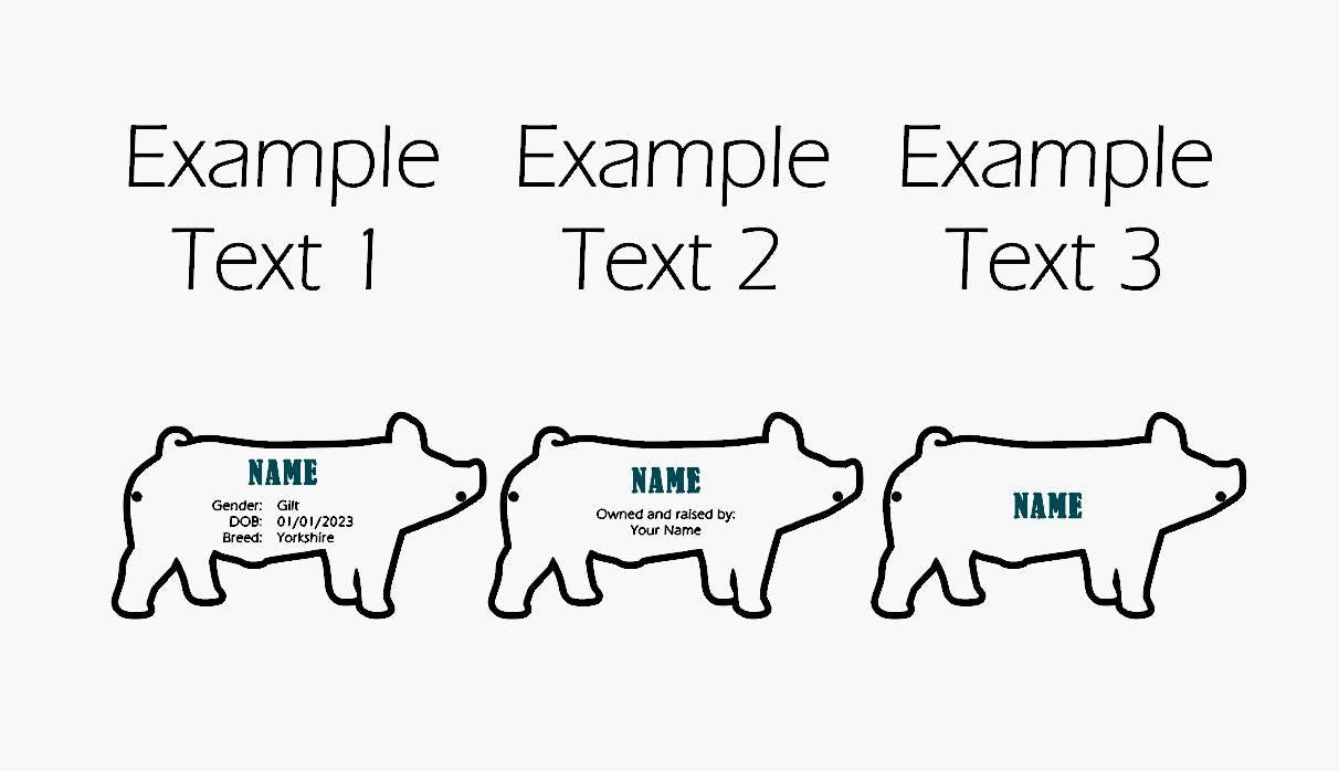 Customizable Pig Hog Stall tag or name plate label for fairs and livestock shows