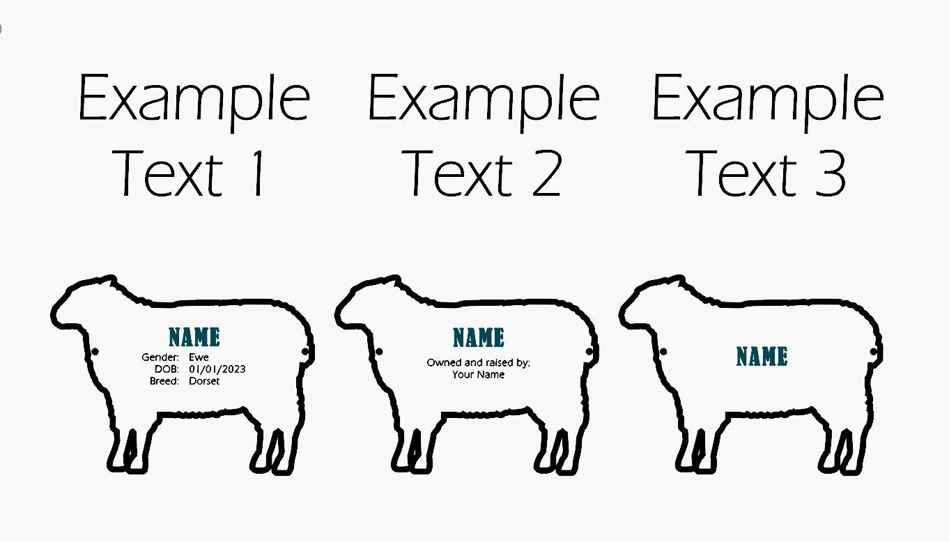 Customizable Sheep Lamb Stall tag or name plate label for fairs and livestock shows