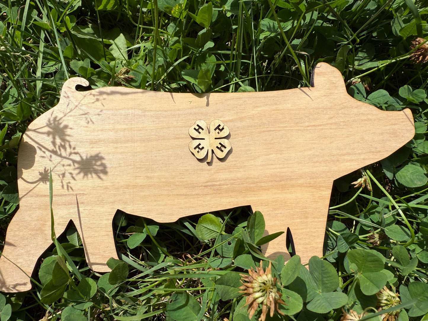 Wood Hog Cutout: DIY Farm Sign, 4H Project (9.7" x 5.2")