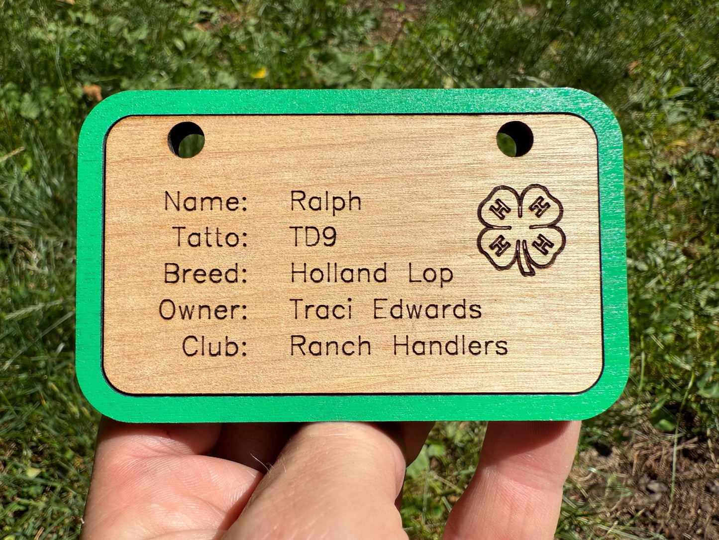 Personalized Wooden Cage Tag: Small Animal Show Nameplate