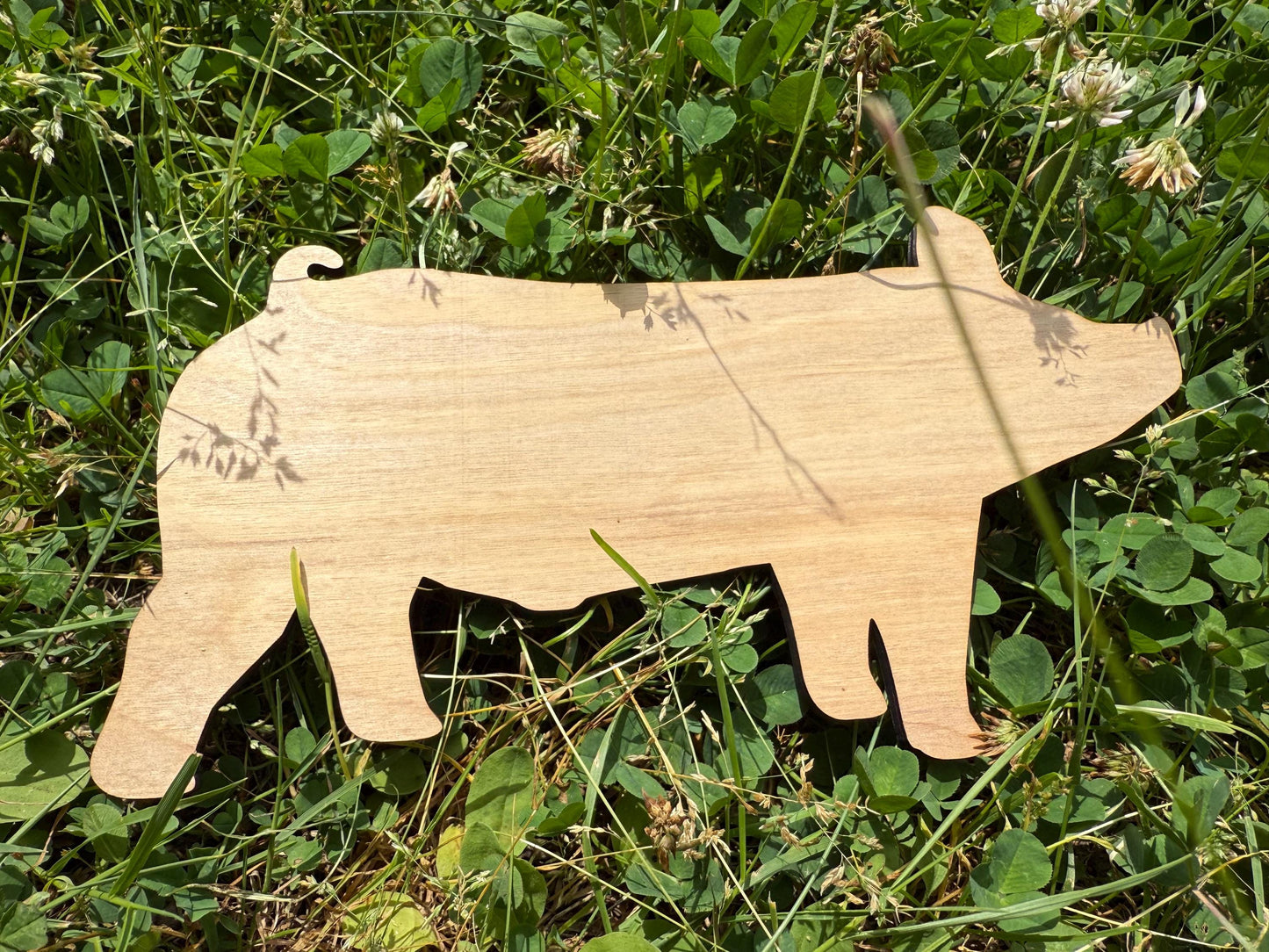 Wood Hog Cutout: DIY Farm Sign, 4H Project (9.7" x 5.2")
