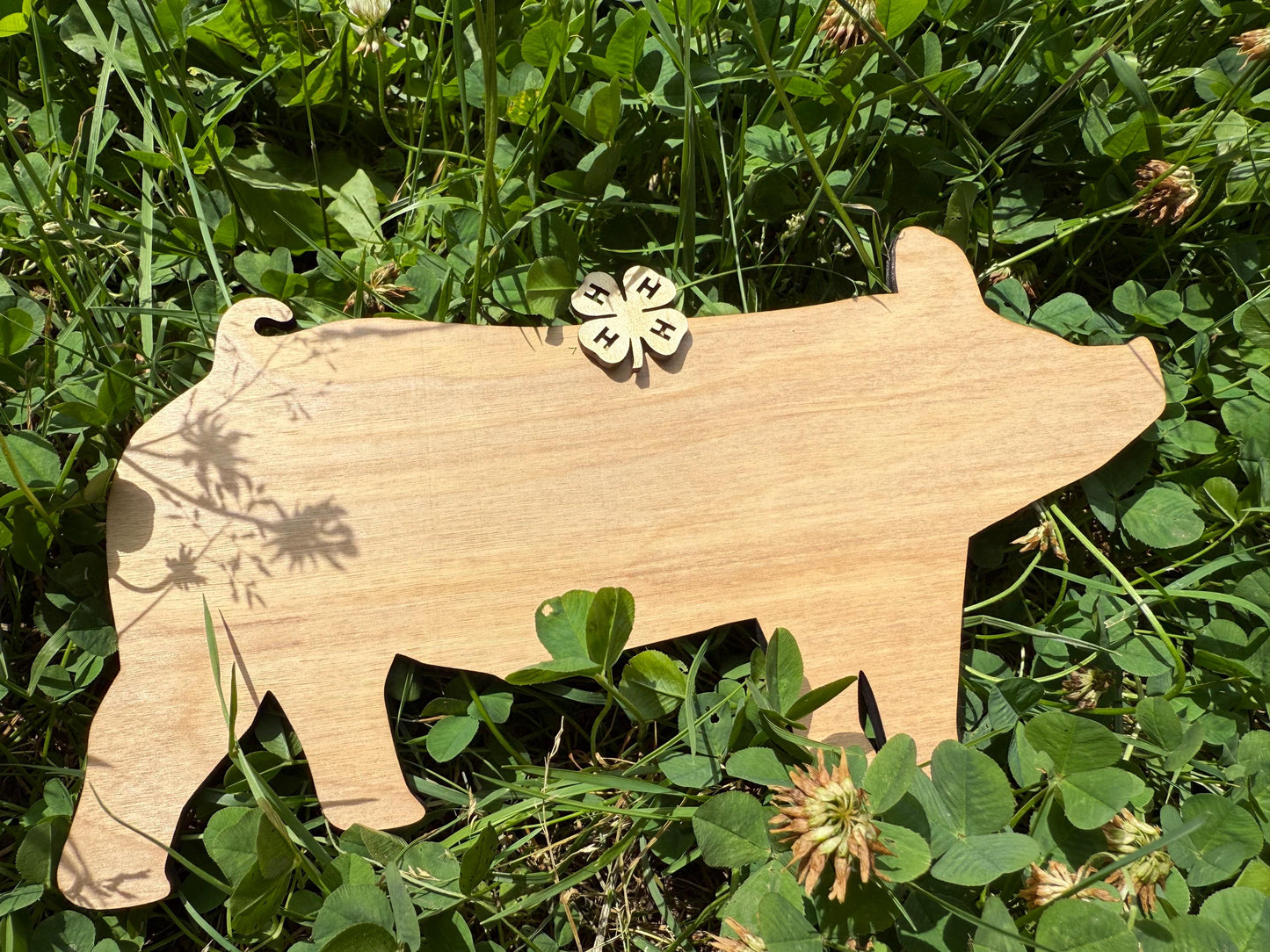 Wood Hog Cutout: DIY Farm Sign, 4H Project (9.7" x 5.2")