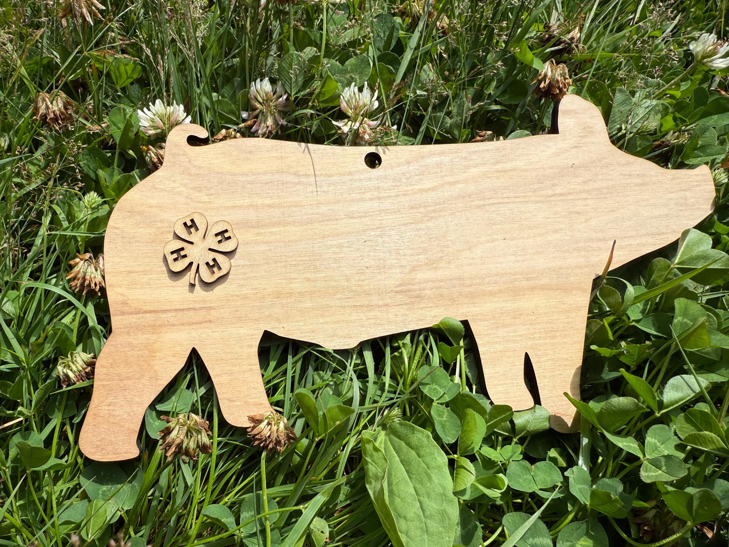 Wood Hog Cutout: DIY Farm Sign, 4H Project (9.7" x 5.2")