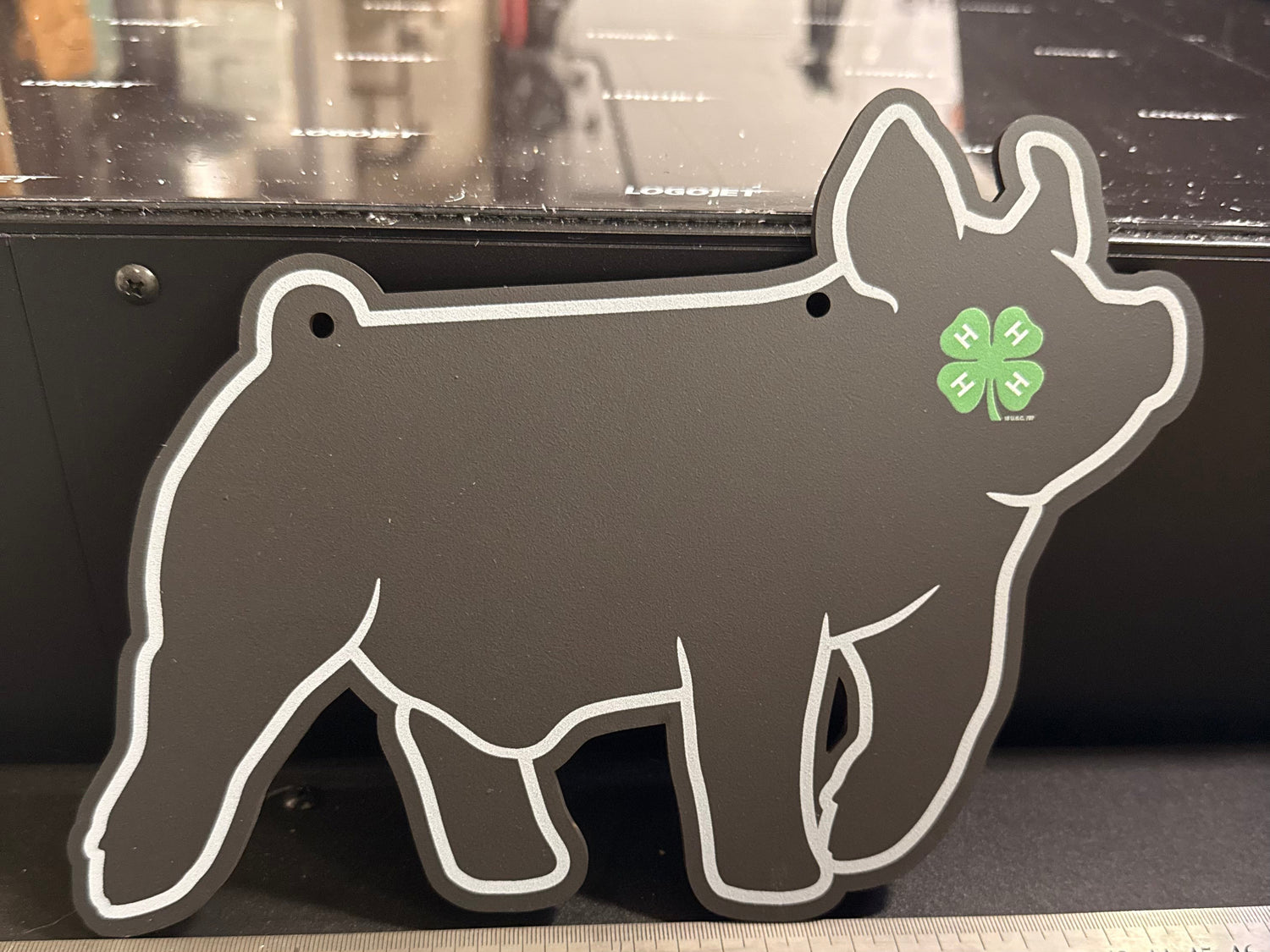 chalk sign in shape of an animal pig and has white outline and 4h clover
