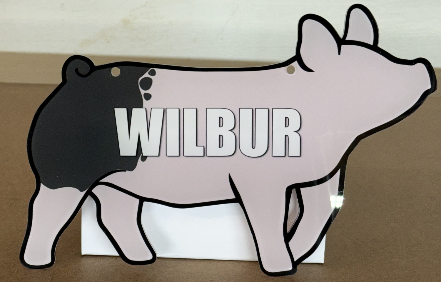 Acrylic Signs