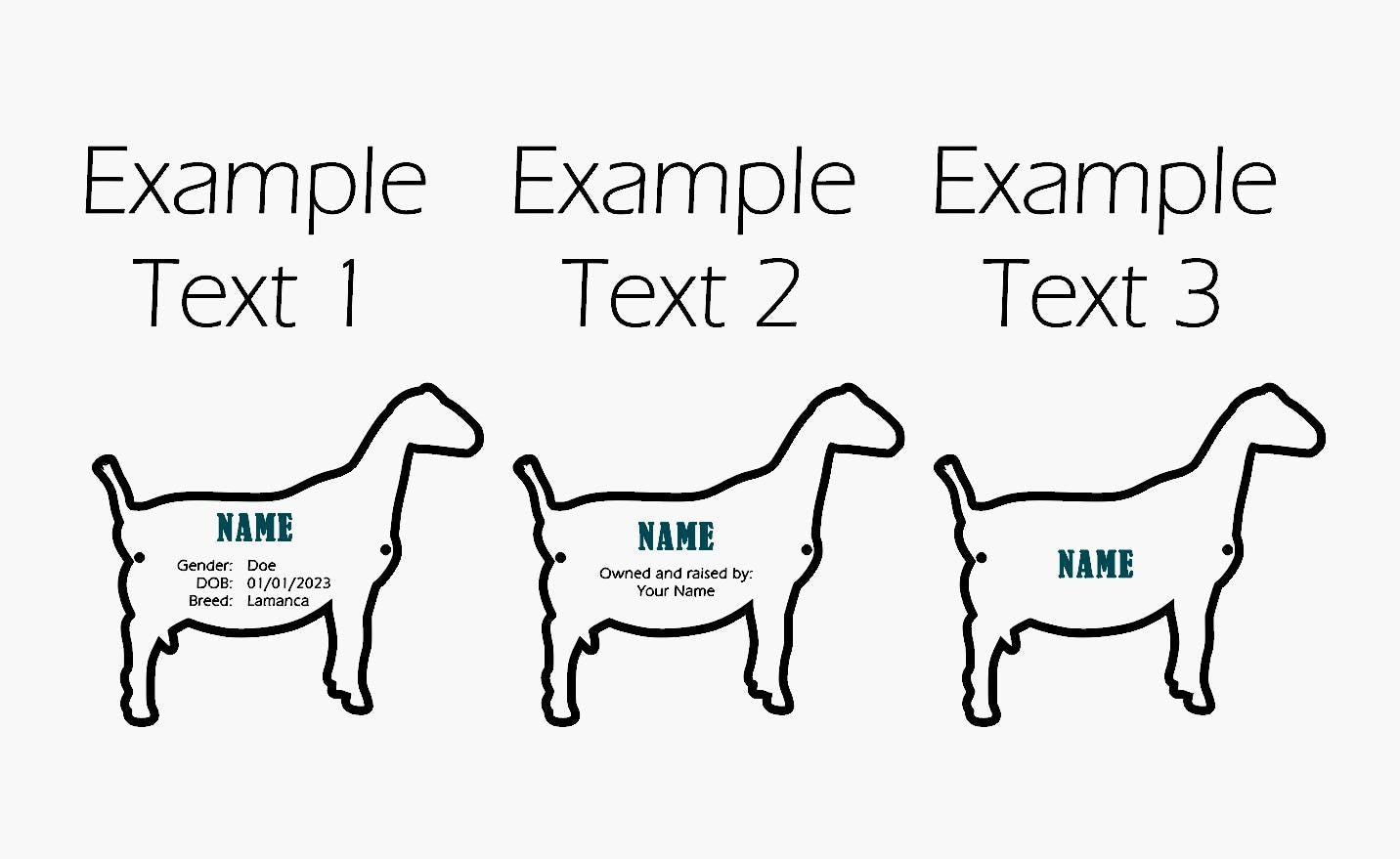 Goat-Lamancha Goat Stall tag or name plate label for fairs and livestock shows