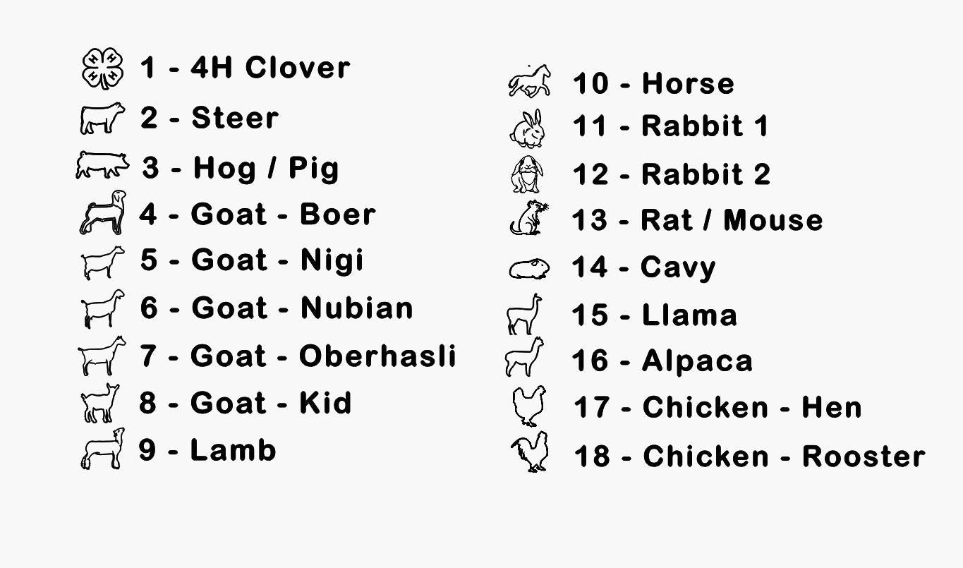 Livestock show award license plate cover for farm animal lovers and unique show awards