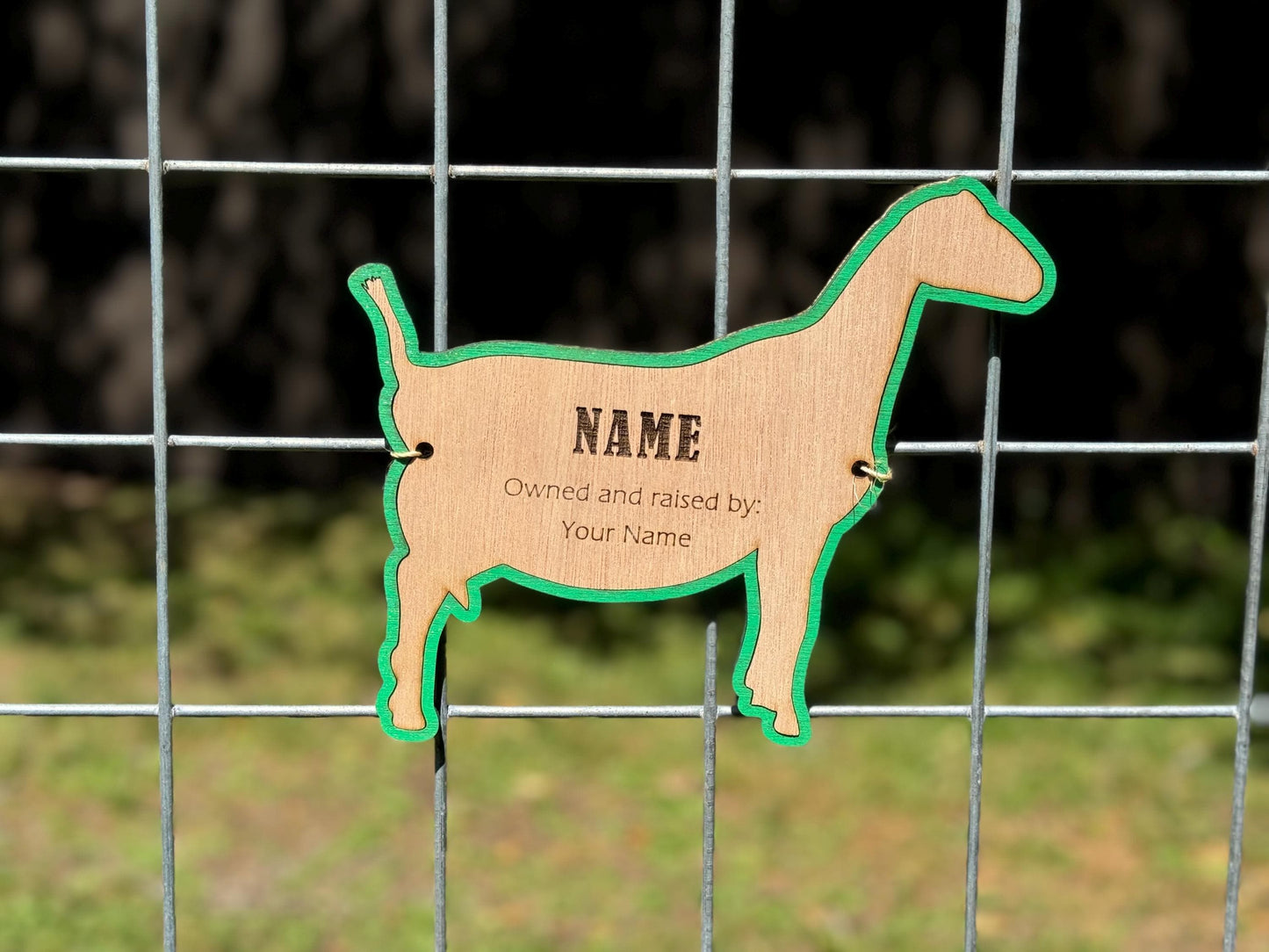 Goat-Lamancha Goat Stall tag or name plate label for fairs and livestock shows