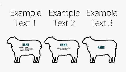 Lamb Stall tag or name plate label for fairs and livestock shows