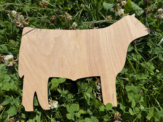 Steer cutout for signs at fair show, blank steer for custom sign decorations, cattle, market steer stall sign