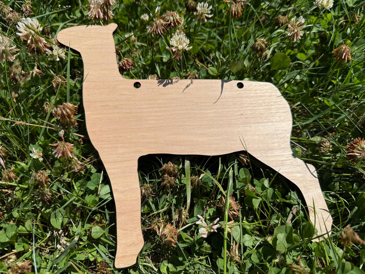 Lamb cutout for signs at fair show, blank lamb for custom sign decorations, market lamb stall sign