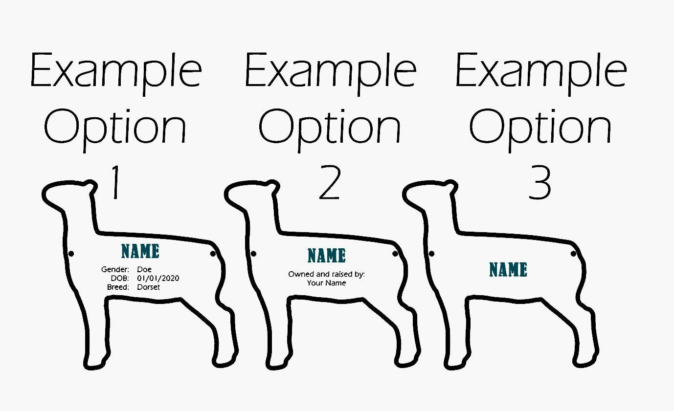 Llama Stall tag or name plate label for fairs and livestock shows