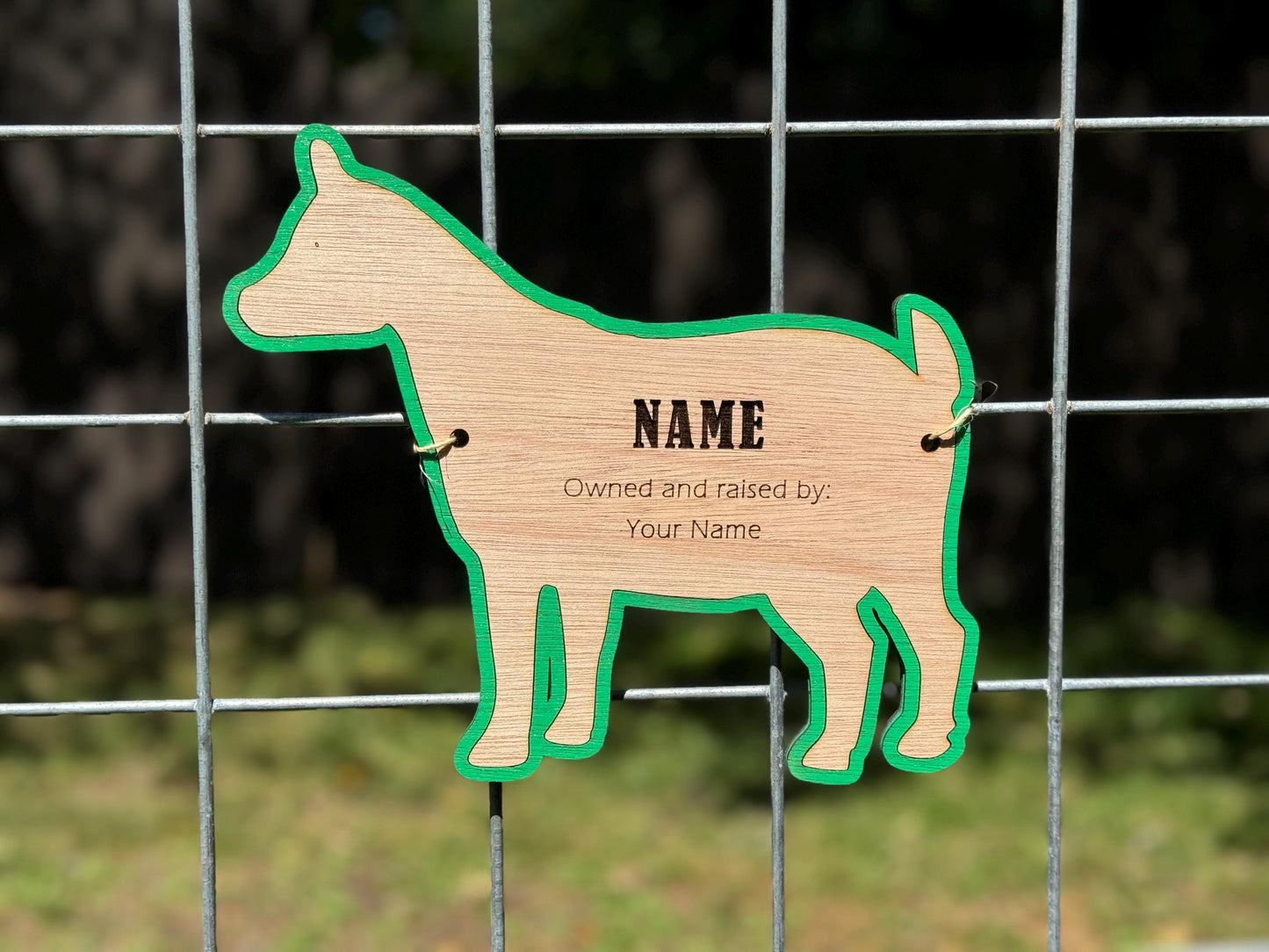 Goat-Pygmy Stall tag with no horns name plate label for fairs and livestock shows